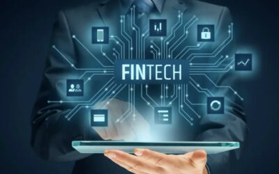 Fintech Lenders to the Rescue: Illuminating New Funding Pathways for Small Businesses